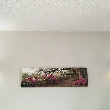 Amaryllis Boutique Apartment