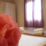 Amaryllis Boutique