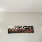 Amaryllis Boutique Apartmán