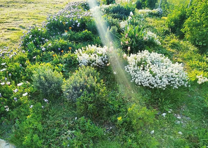 Amaryllis Boutique Apartment *